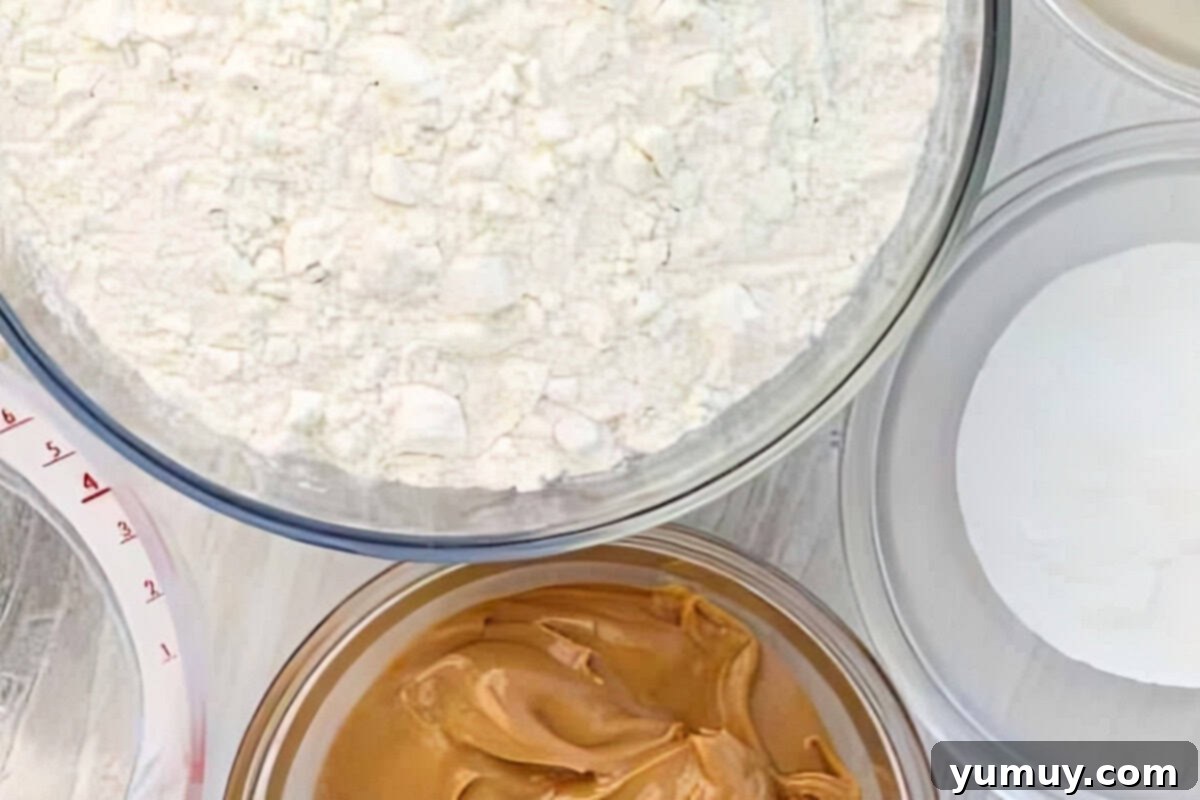 Pup's Peanut Delights 9 Ingredients for peanut butter dog cookies.