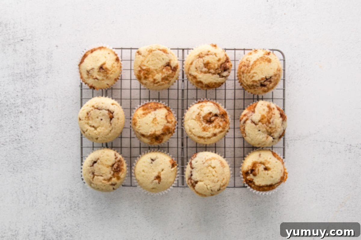 12 baked cinnamon swirl cupcakes on a wire rack.