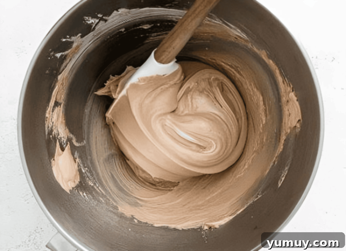 Smooth, rich cocoa meringue in a stainless mixing bowl, being gently folded with a rubber spatula to preserve air.