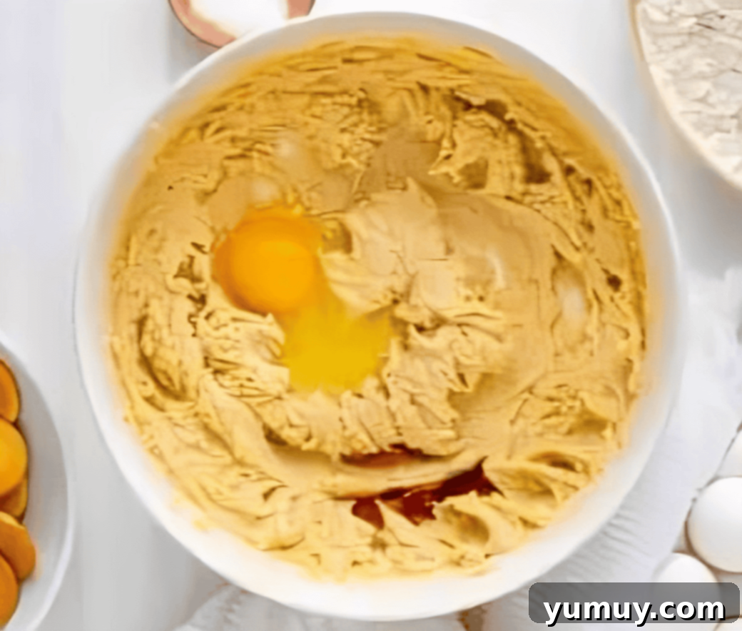Southern Banana Pudding Cookies 14 Cookie dough in a mixing bowl with an egg and vanilla extract being added during the wet ingredient stage