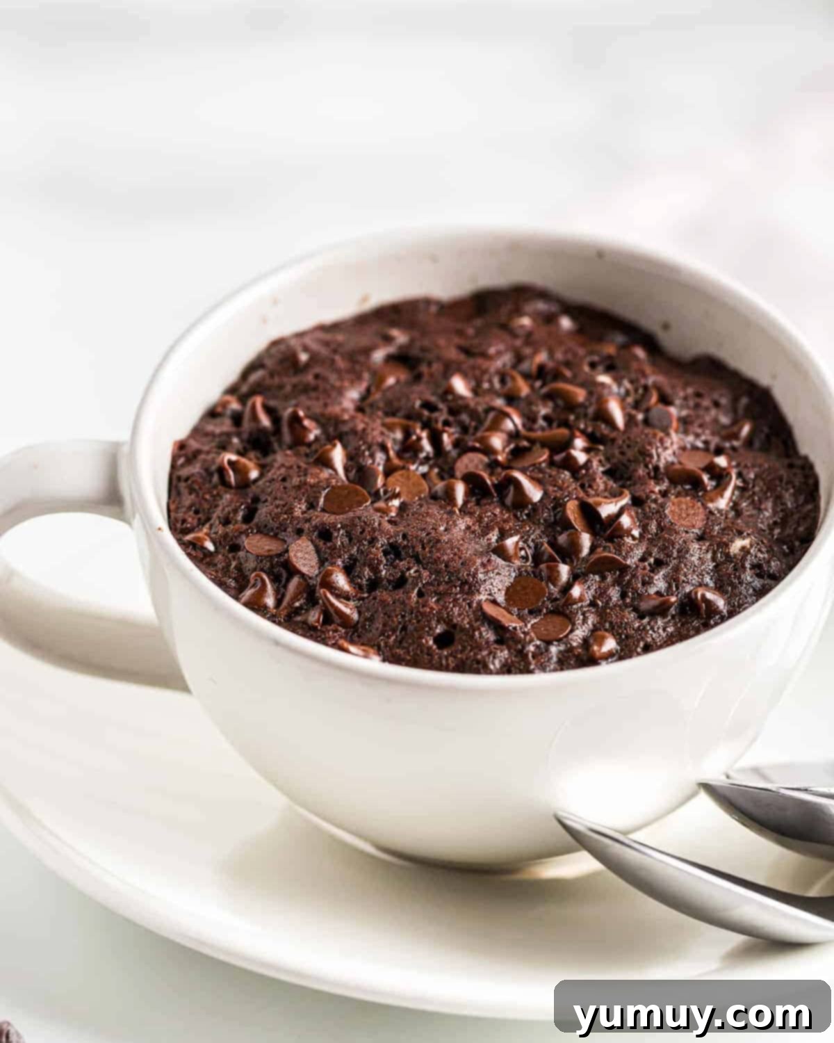 Decadent chocolate mug cake topped with melted chocolate chips, ready to be enjoyed.