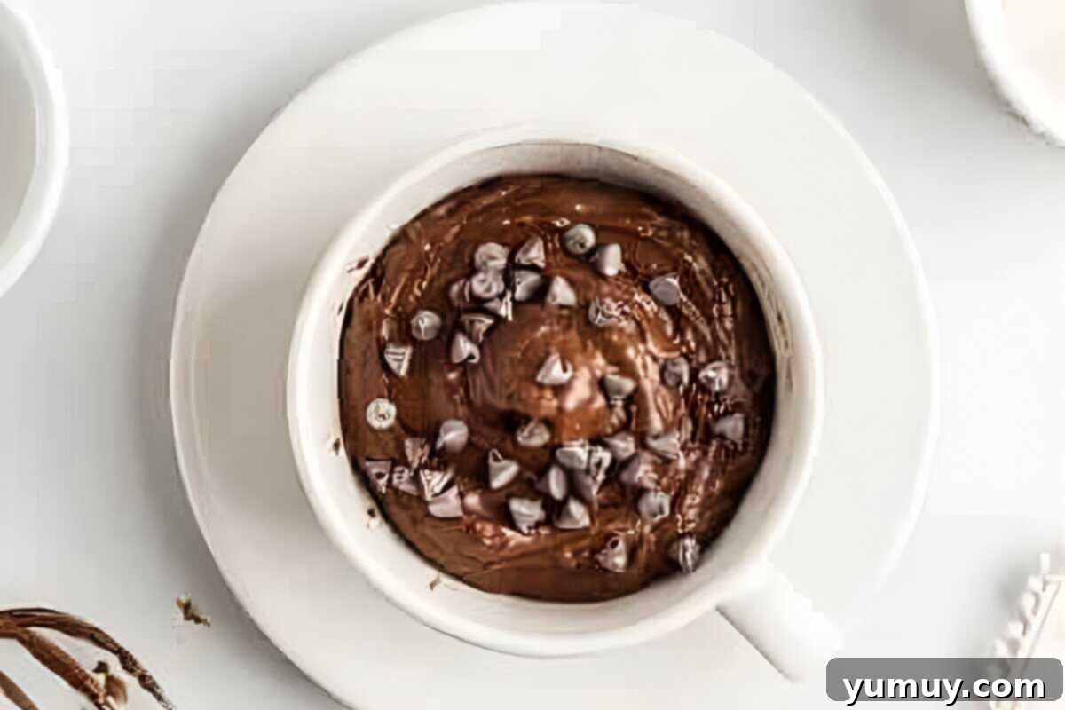 Chocolate cake batter beautifully topped with mini chocolate chips in a white coffee mug, awaiting its microwave journey.