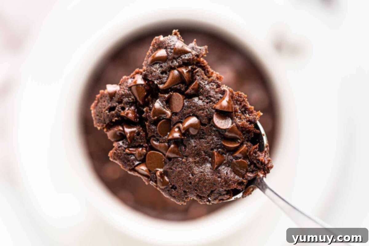 A spoonful of moist chocolate mug cake being lifted from the mug, revealing its fluffy texture.