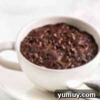 chocolate mug cake with chocolate chips