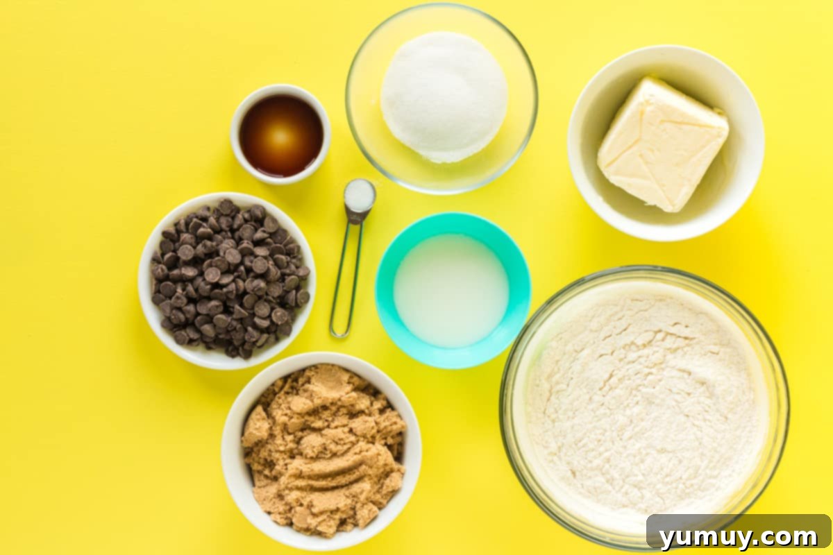 overhead view of ingredients for edible chocolate chip cookie dough.