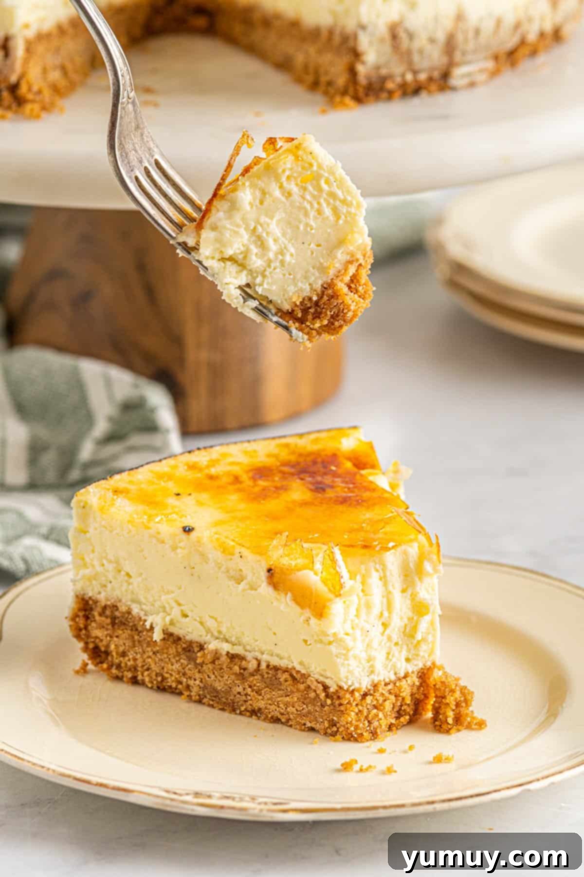 a forkful of creme brulee cheesecake hovering above a slice on a white plate.