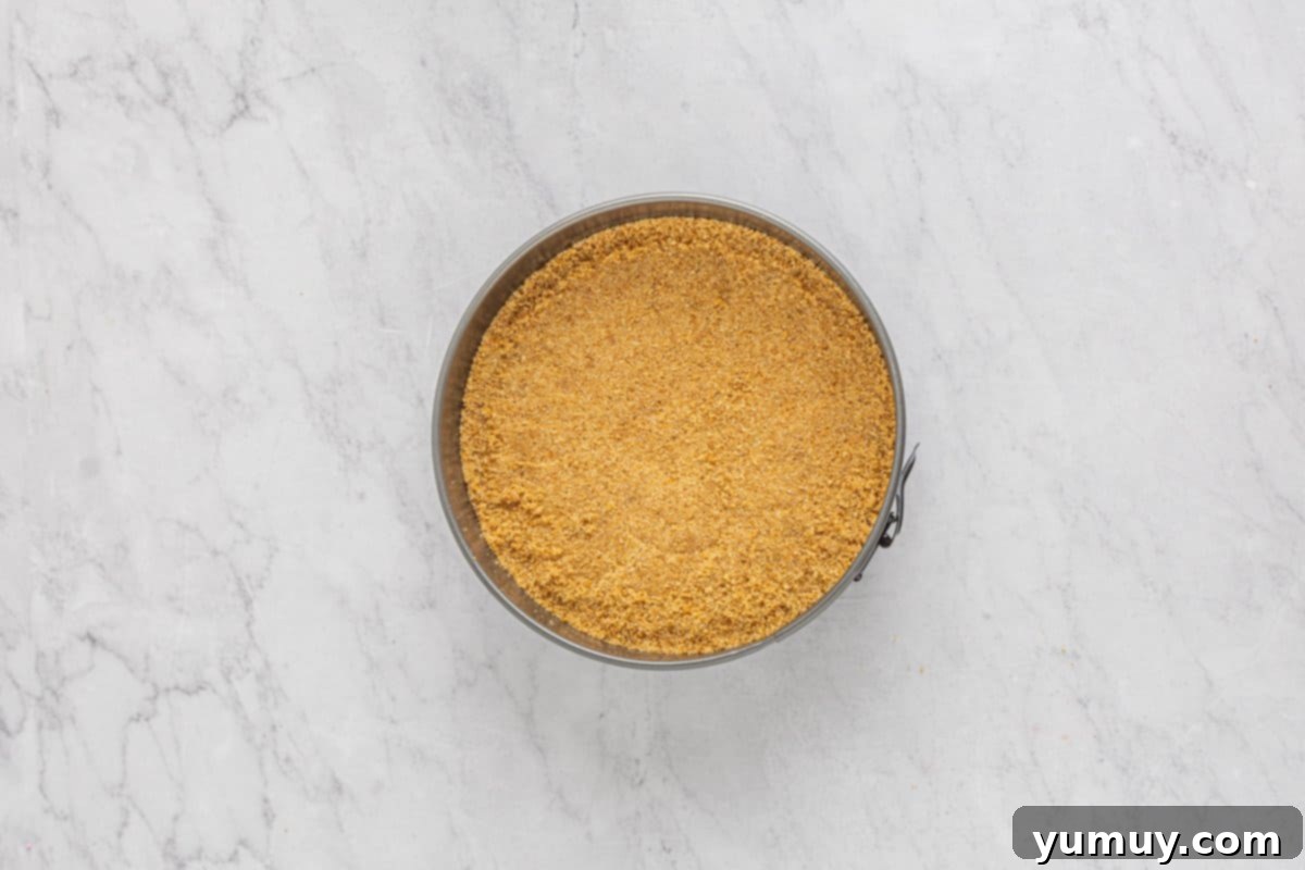 overhead view of creme brulee cheesecake crust in a springform pan.