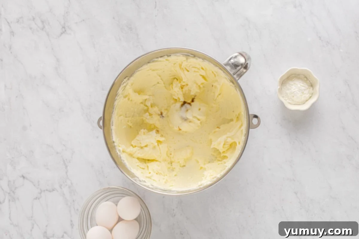 overhead view of heavy cream sour cream lime juice vanilla and salt added to cream cheese mixture in a stainless mixing bowl.