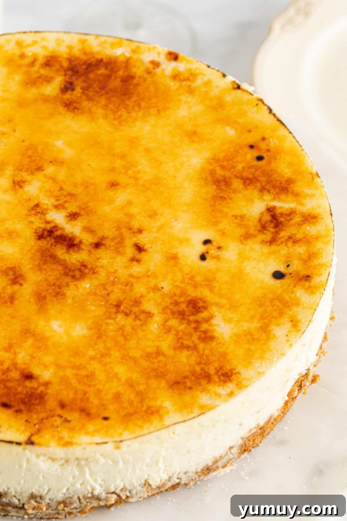 close up view of creme brulee cheesecake.