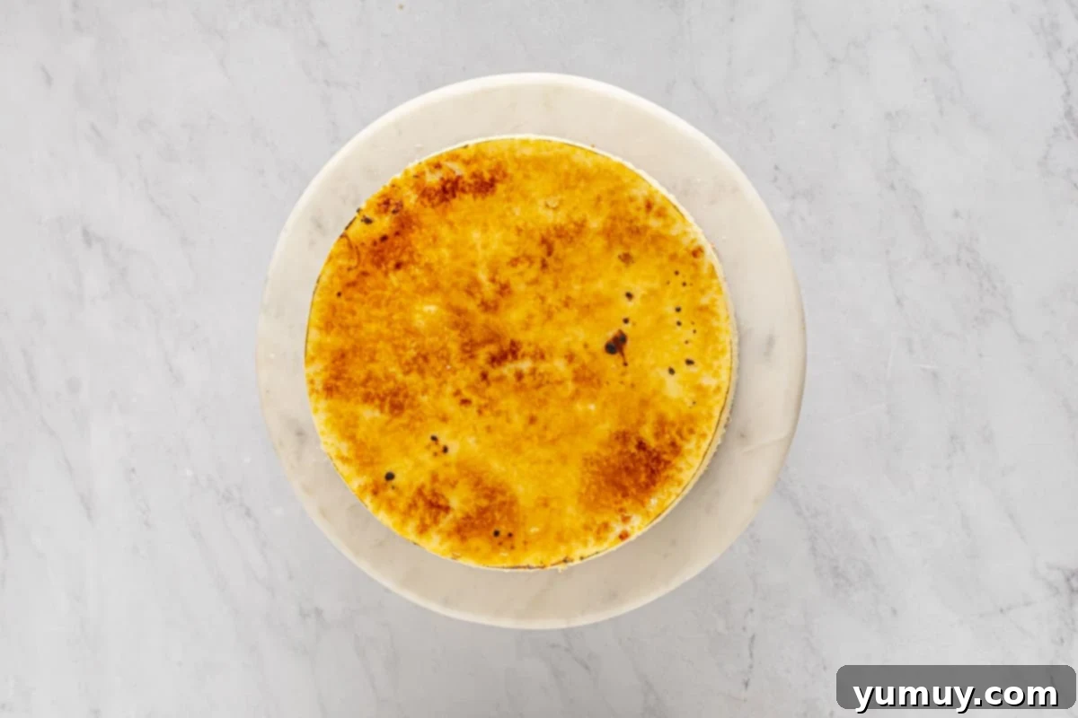 overhead view of creme brulee cheesecake on a white cake stand.