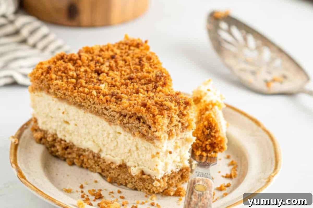 A close-up of a slice of double crust cheesecake, showcasing the thick bottom and top graham cracker crusts.