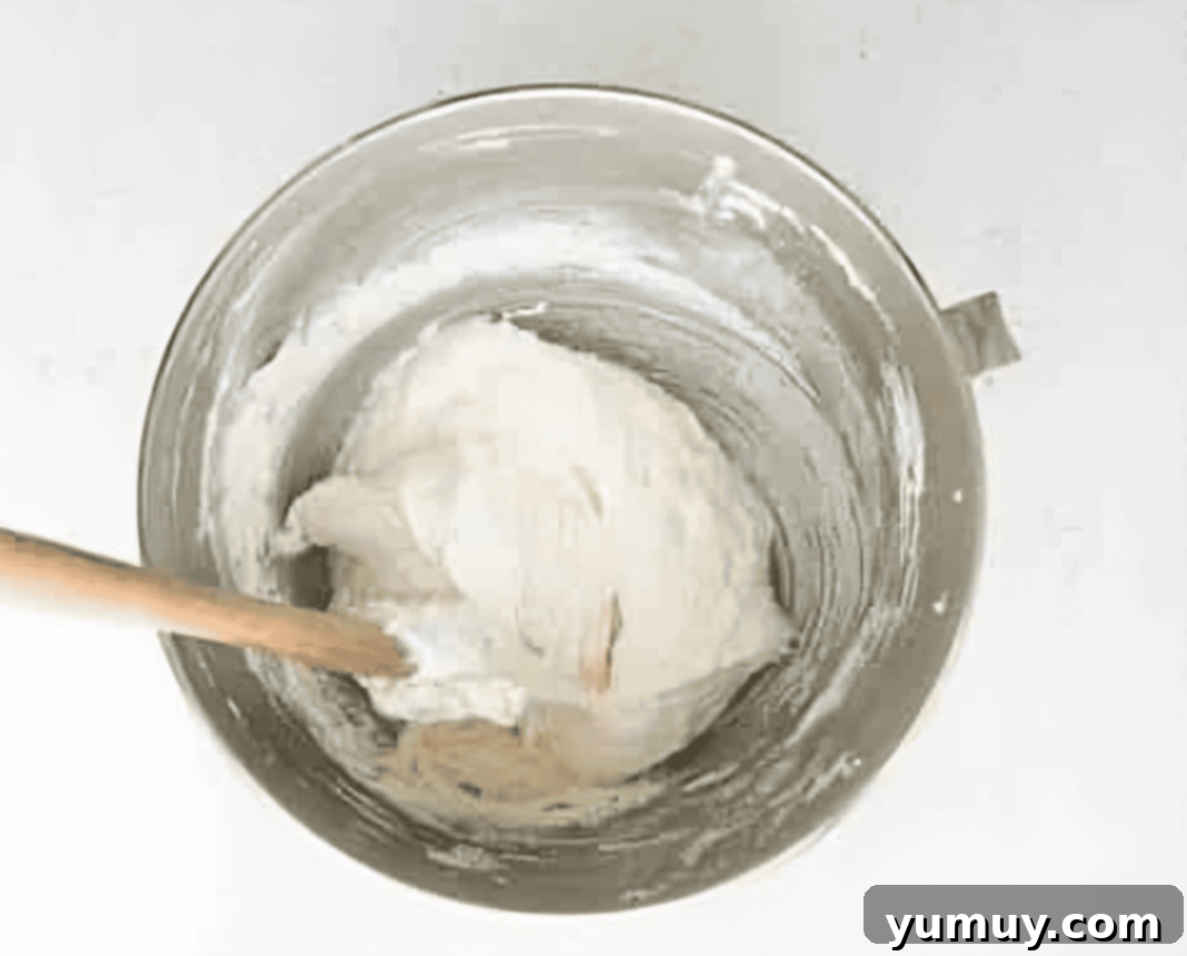 Springtime Macaron Delights 11 Macaron batter in a stainless steel mixing bowl with a rubber spatula, illustrating the ideal consistency for piping.
