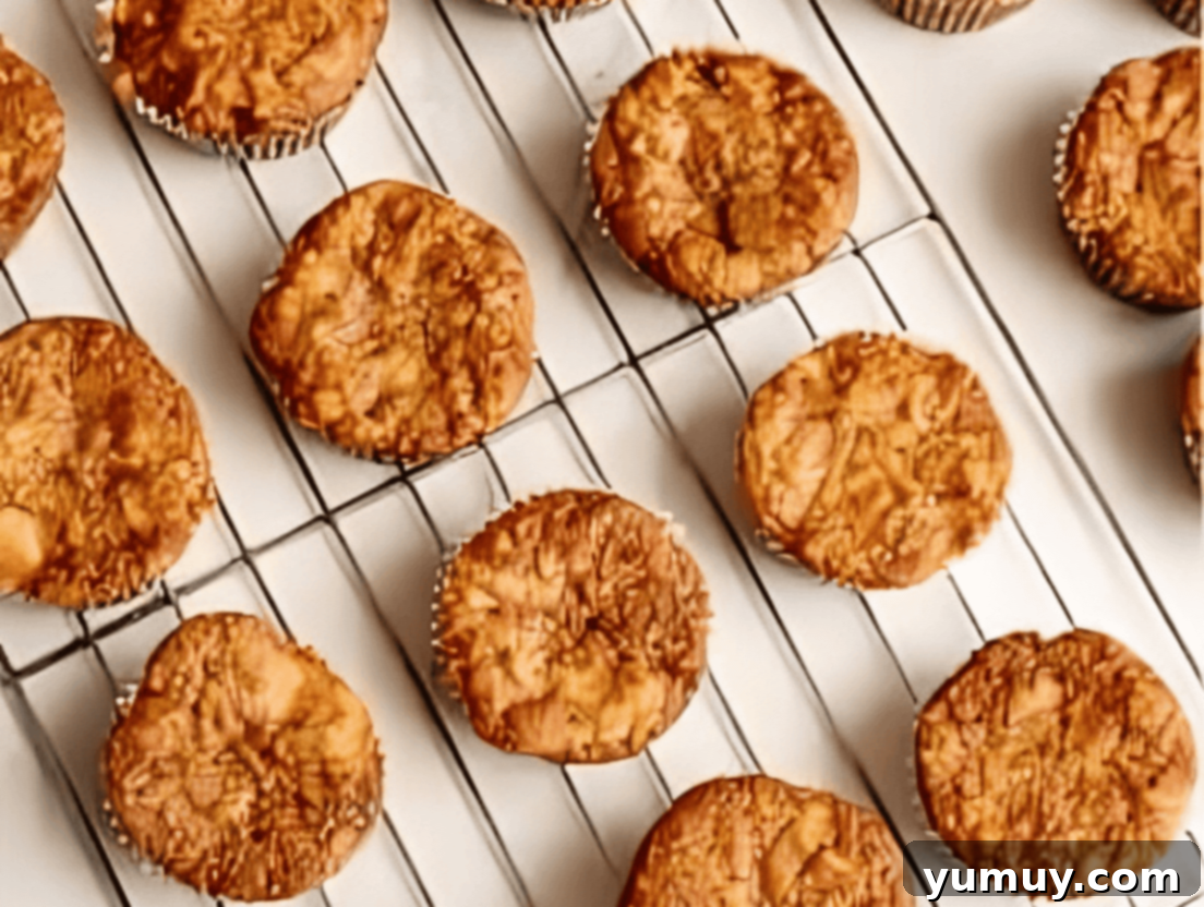 Spiced Carrot Cupcakes with Cream Cheese Frosting 9 baked carrot cake cupcakes on a wire rack.