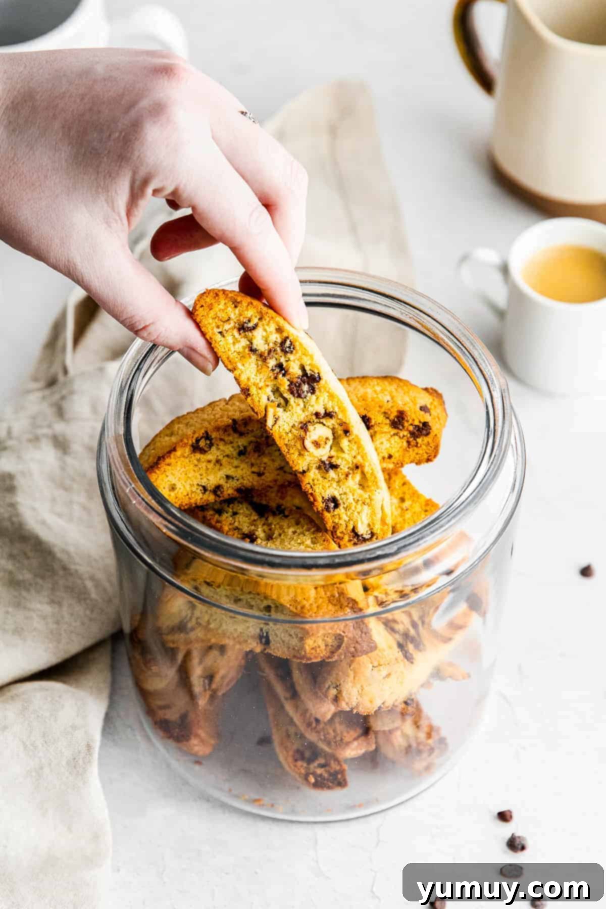 Crunchy Chocolate Chip Biscotti 2 lifting chocolate chip biscotti out of glass jar