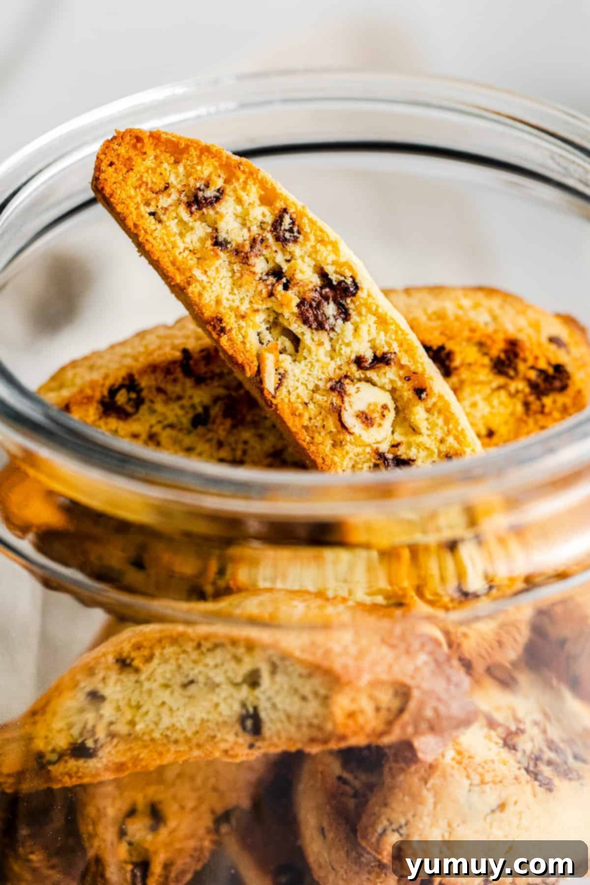 Crunchy Chocolate Chip Biscotti 3 up close chocolate chip biscotti in glass jar