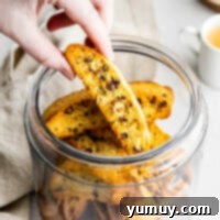 Crunchy Chocolate Chip Biscotti 4 featured chocolate chip biscotti