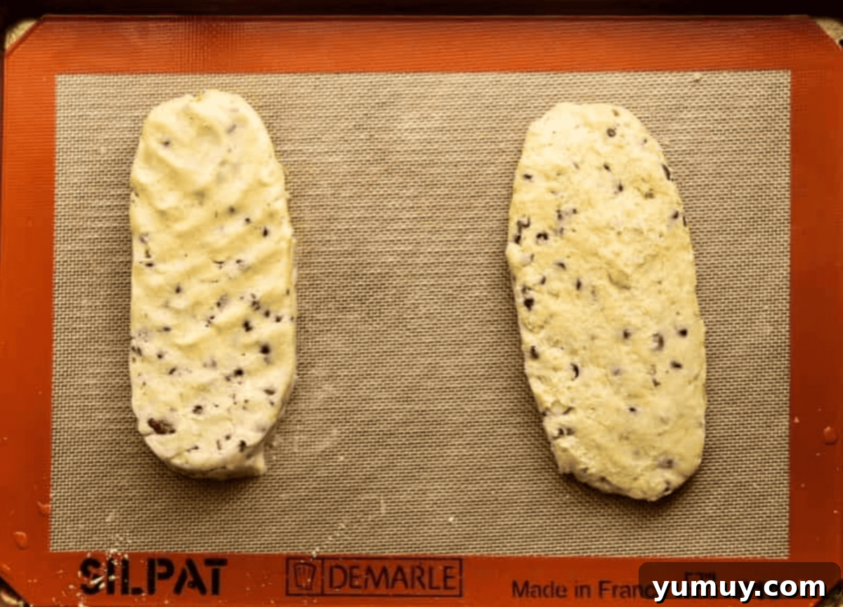 Crunchy Chocolate Chip Biscotti 7 2 chocolate chip biscotti dough logs on a baking sheet.