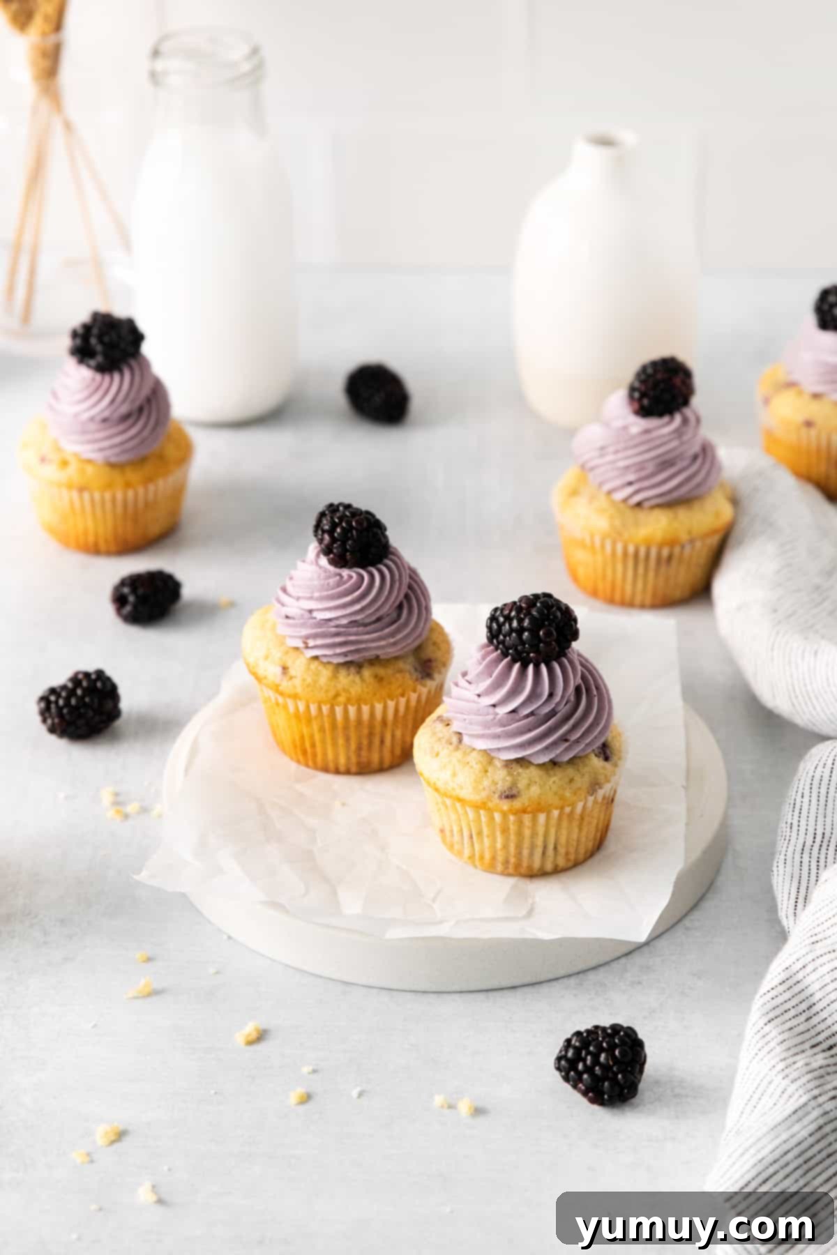 Luscious Blackberry Cupcakes 3 A close-up view of perfectly frosted blackberry cupcakes, highlighting the smooth, purple buttercream and a fresh blackberry garnish.