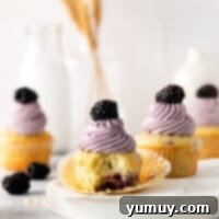 Luscious Blackberry Cupcakes 4 Three blackberry cupcakes beautifully arranged, showcasing the rich purple frosting and a fresh blackberry on top.