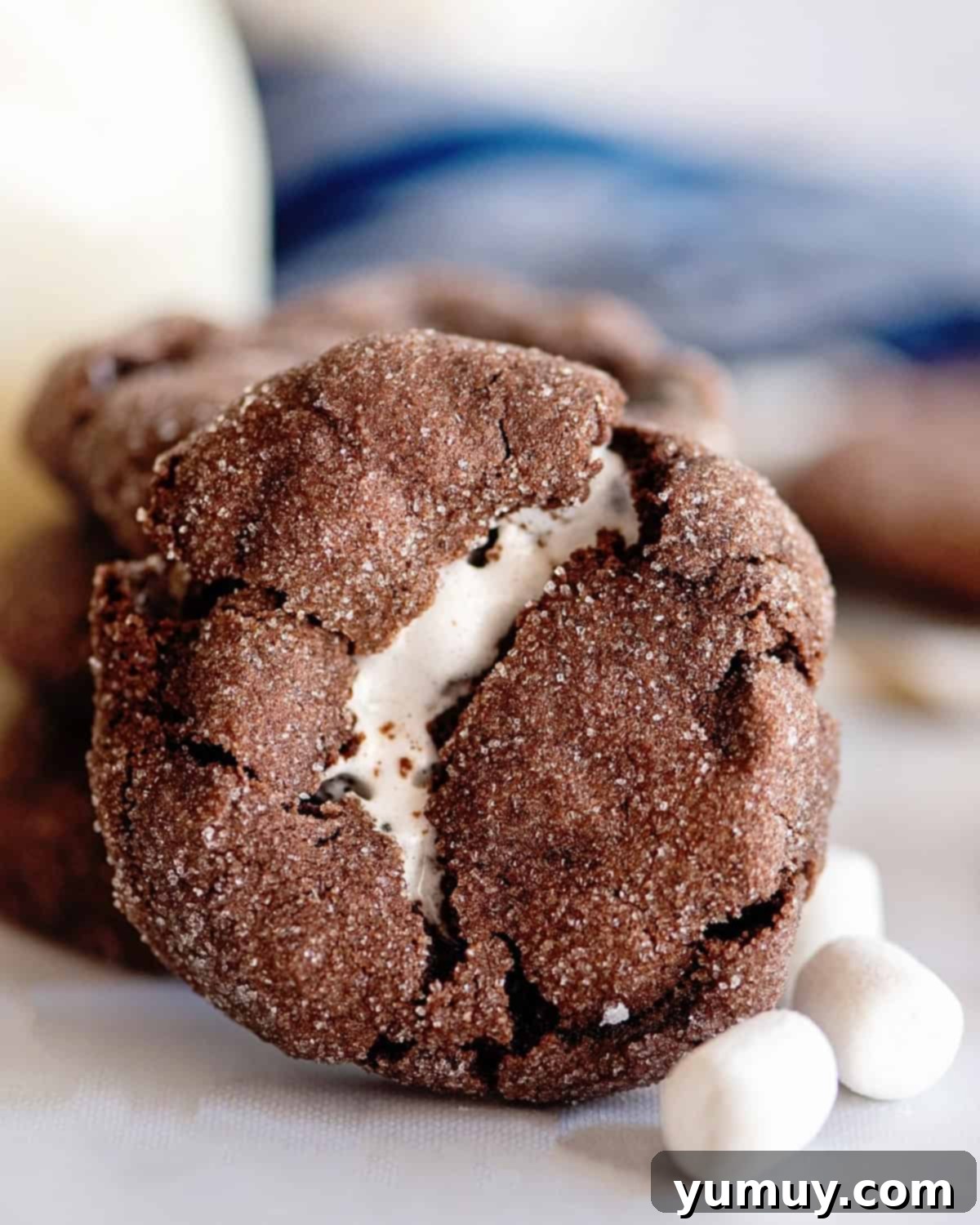 Gooey Chocolate Marshmallow Cookies 2 Chocolate marshmallow cookie next to mini marshmallows. A close-up shot highlighting the textures and the sweet ingredients.