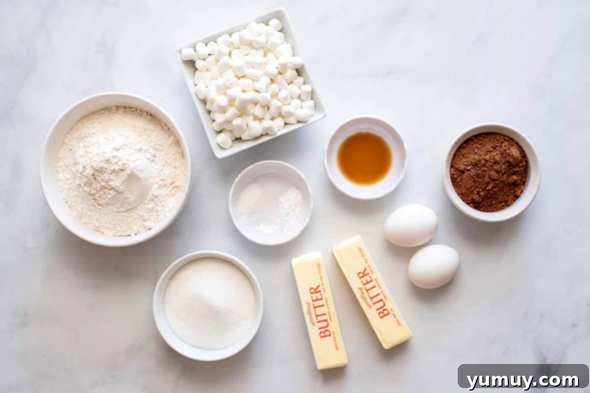 Gooey Chocolate Marshmallow Cookies 13 Ingredients for chocolate marshmallow cookies laid out on a counter, ready for baking.