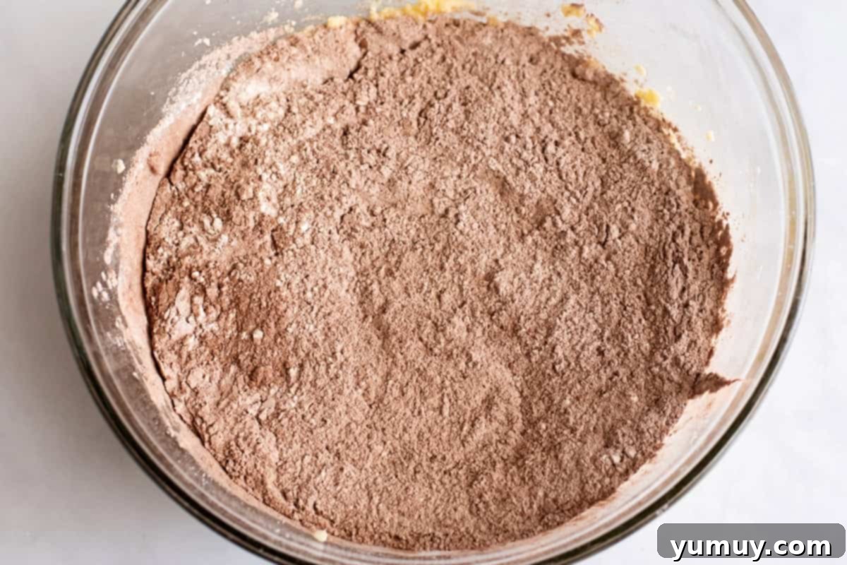 Gooey Chocolate Marshmallow Cookies 16 Dry ingredients combined in a bowl, showing the cocoa powder, flour, and leavening agents ready for use.