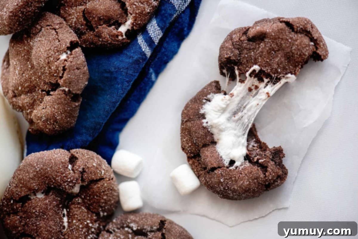 Gooey Chocolate Marshmallow Cookies 3 Chocolate cookie pulled apart to show the marshmallow inside. A warm, gooey marshmallow stretching between two halves of a rich chocolate cookie.