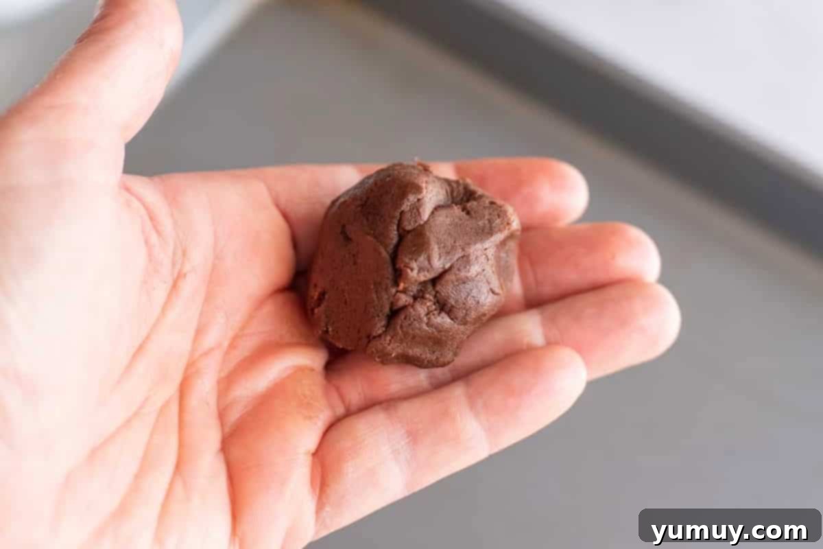 Gooey Chocolate Marshmallow Cookies 21 Hand holding up a perfectly formed ball of chocolate cookie dough, with the marshmallow sealed inside.