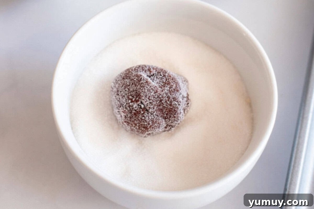 Gooey Chocolate Marshmallow Cookies 22 Cookie dough ball rolled in sugar, showcasing the beautiful sugar coating before baking.