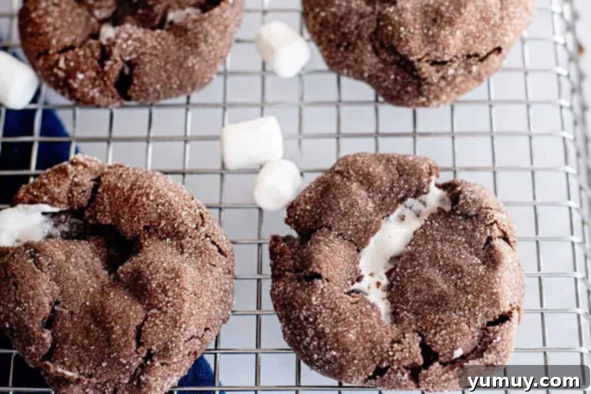 Gooey Chocolate Marshmallow Cookies 24 Baked chocolate marshmallow cookies on a cooling rack, perfectly golden and ready to be enjoyed.