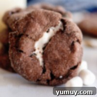 Gooey Chocolate Marshmallow Cookies 4 chocolate marshmallow cookies
