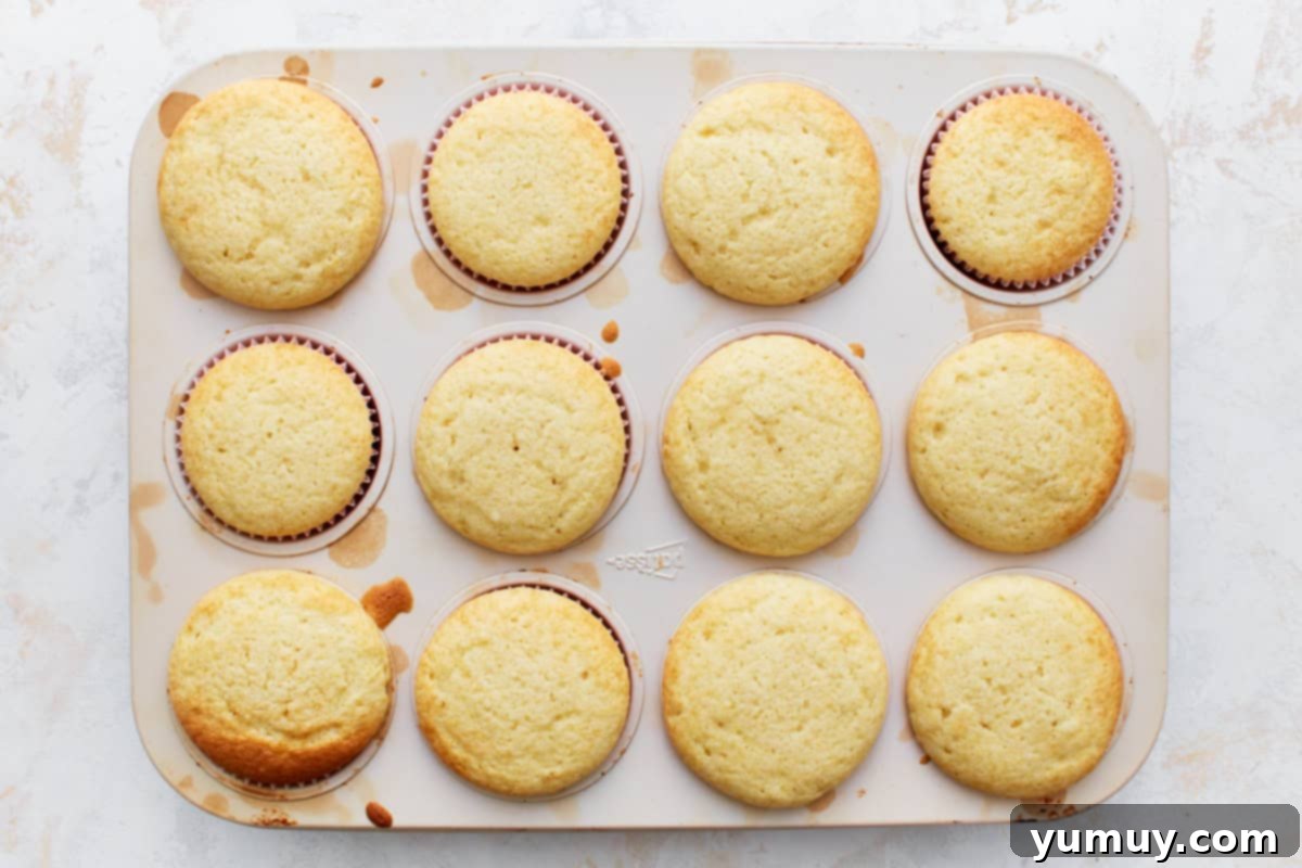 Freshly baked cupcakes in their tin, golden brown and perfectly puffed.
