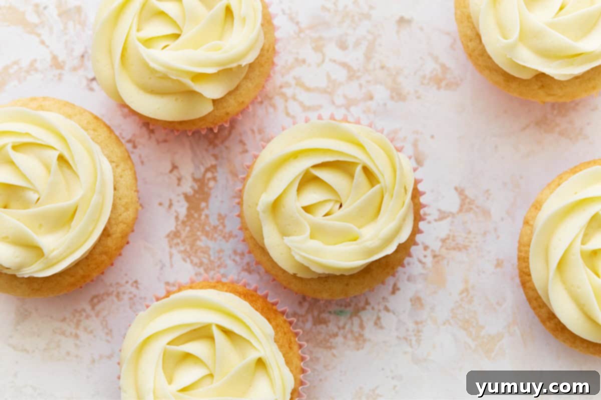 An overhead view of beautifully frosted berry cupcakes, ready to be served.