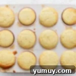 Baked cupcakes in a cupcake tin.
