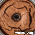 Light & Airy Chocolate Cloud Cake 12 chocolate angel food cake in a tube pan.