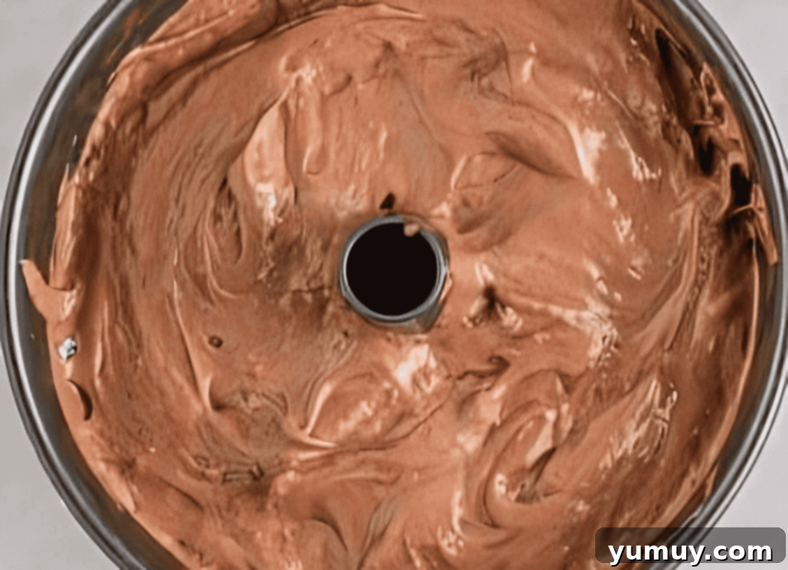 Light & Airy Chocolate Cloud Cake 20 chocolate angel food cake batter in a tube pan.