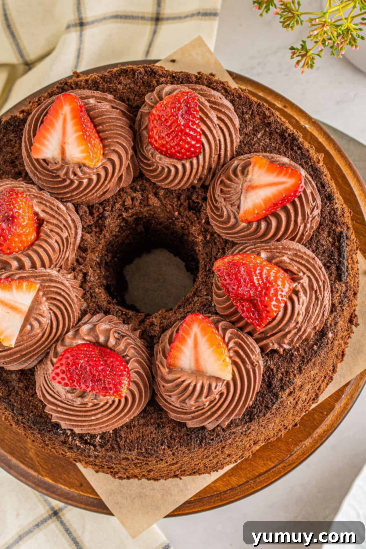 Light & Airy Chocolate Cloud Cake 3 overhead photo of chocolate angel food cake with chocolate whipped cream frosting and strawberries