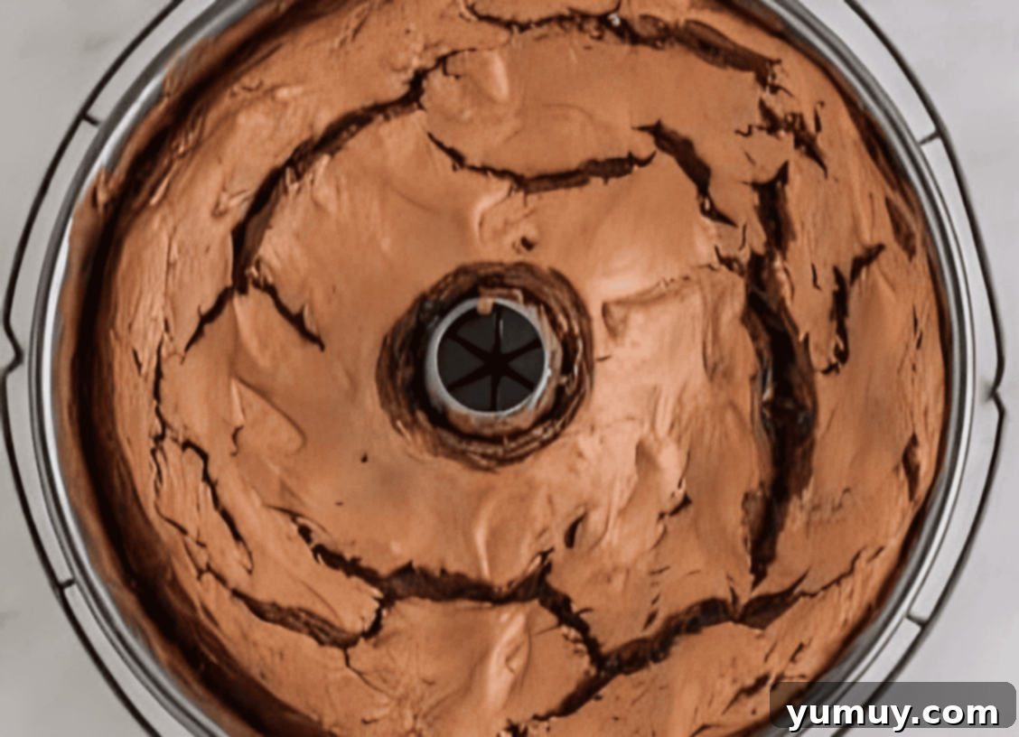 Light & Airy Chocolate Cloud Cake 21 chocolate angel food cake in a tube pan.