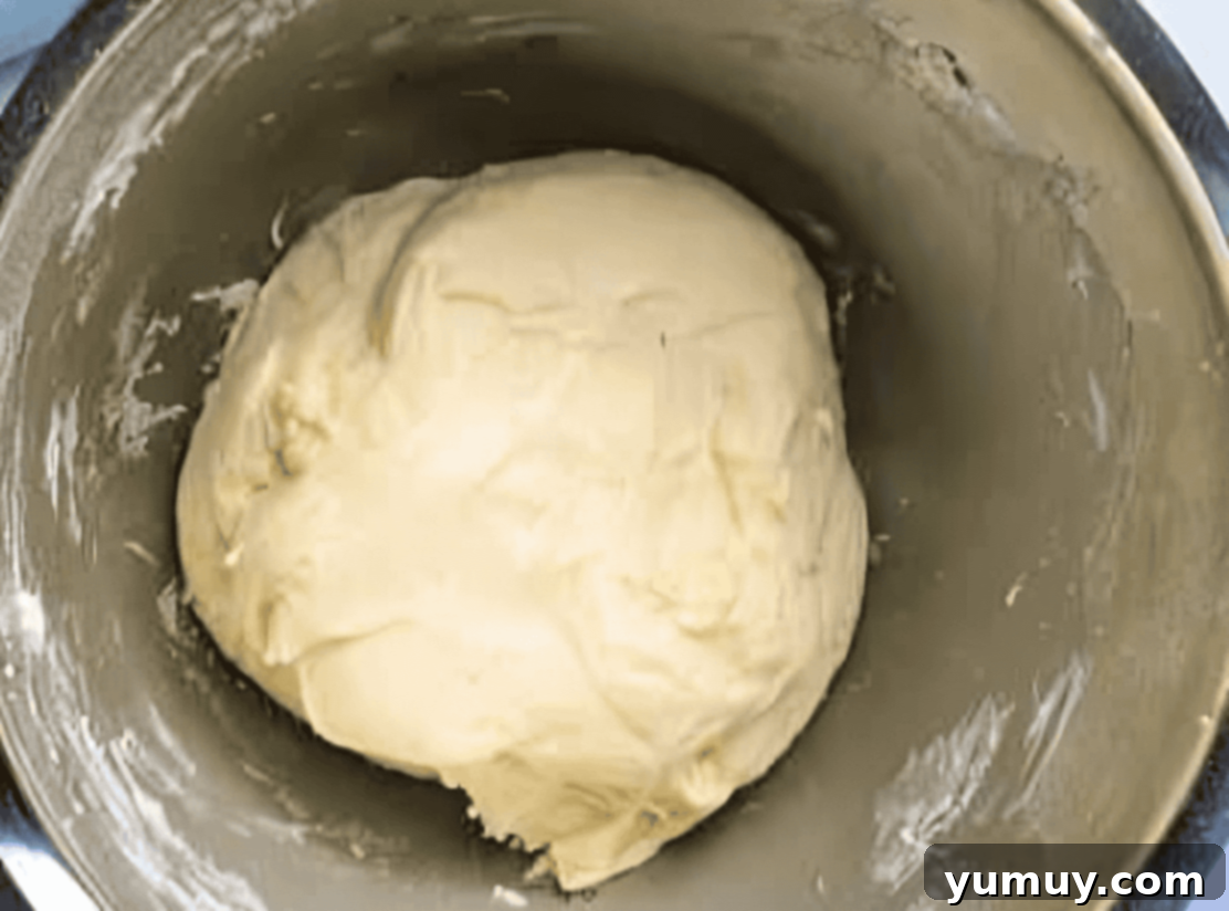 Boston Cream Delights 19 A smooth, kneaded ball of donut dough resting in a stainless steel mixing bowl.