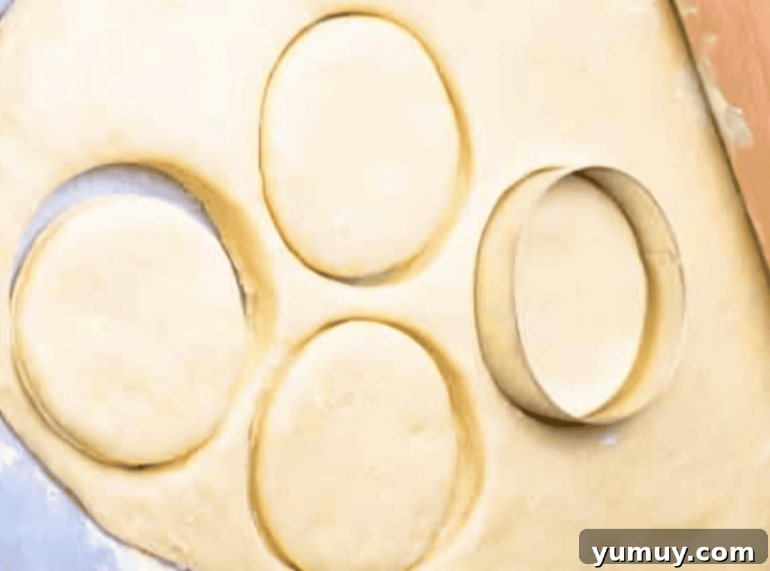 Boston Cream Delights 21 A hand using a round cutter to create perfect donut shapes from rolled dough.