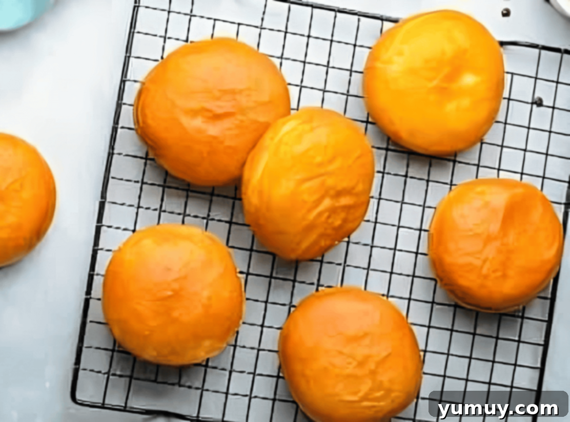 Boston Cream Delights 23 Freshly fried donuts cooling on a wire rack lined with paper towels.