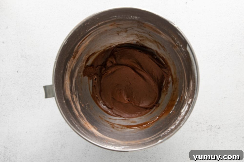 powdered sugar and cocoa added to no bake chocolate cheesecake batter in a stainless mixing bowl.