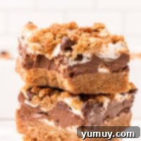 Smores Bars 4 s'mores bars