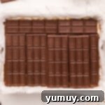 Smores Bars 10 chocolate bars laid neatly in a baking pan.