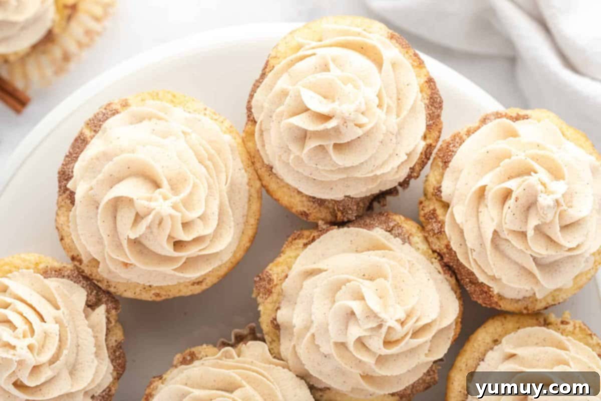 overhead view of snickerdoodle cinnamon cupcakes