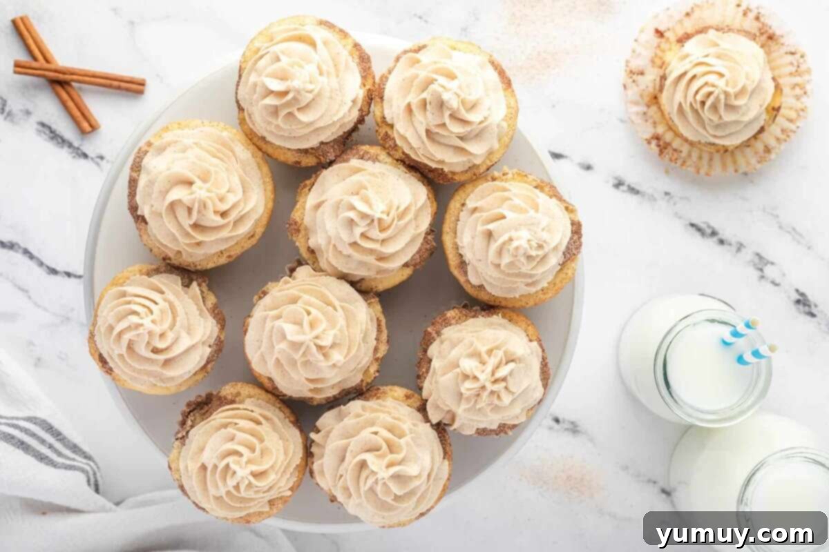 overhead view of frosted snickerdoodle cupcakes on a plate.