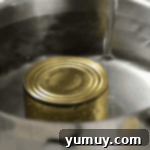 Perfect Homemade Dulce de Leche 5 Pouring water over a sealed can of sweetened condensed milk in a large pot, ensuring complete submersion.