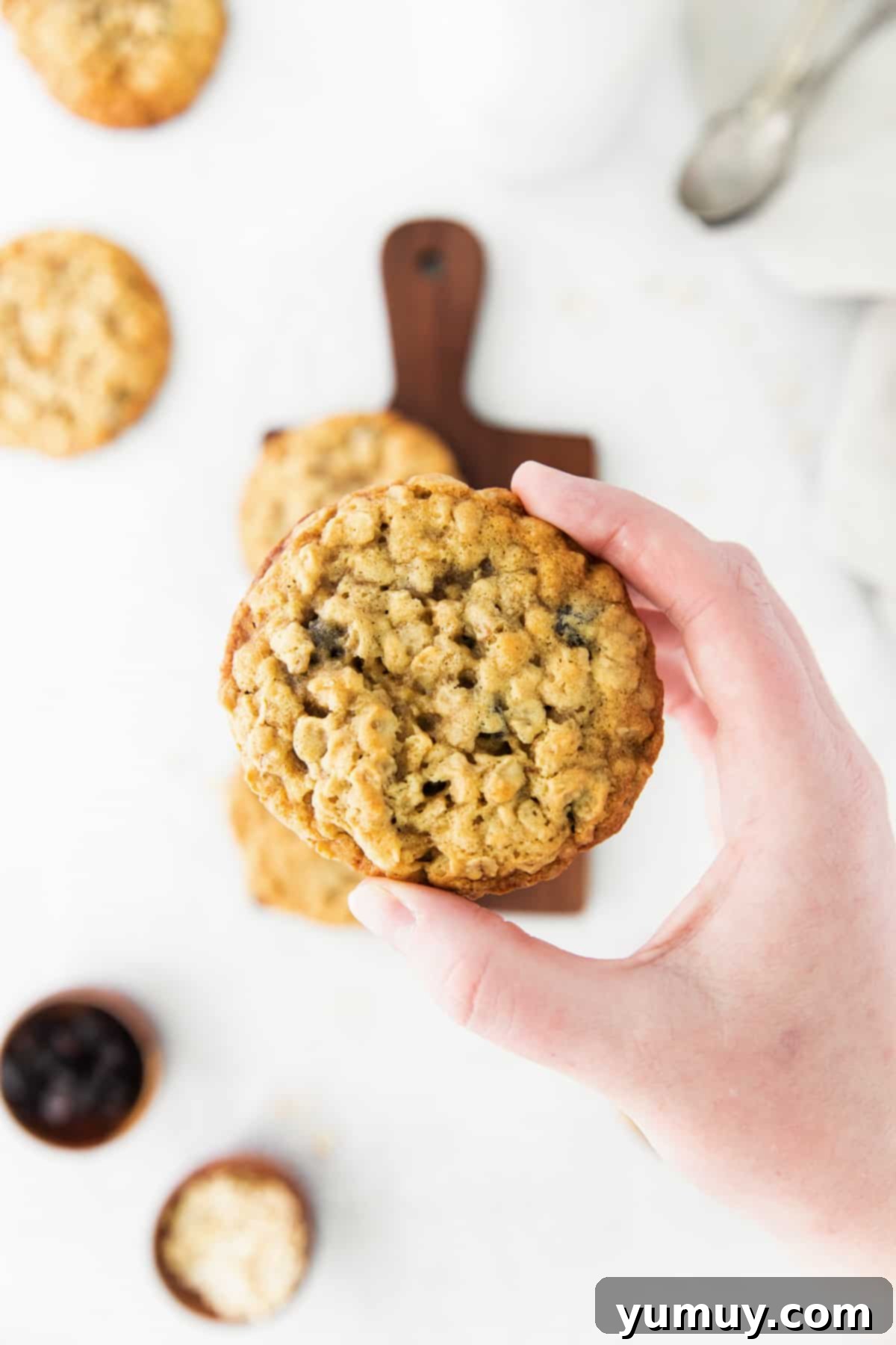 Golden Oat Raisin Delights 2 A hand holding a freshly baked, perfectly golden-brown oatmeal raisin cookie, showcasing its chewy texture and visible oats and raisins.