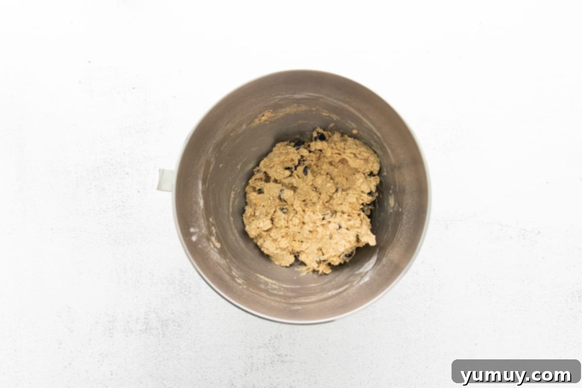 Golden Oat Raisin Delights 11 Oatmeal raisin cookie dough in a mixing bowl on a white background, with raisins visible throughout the mixture.