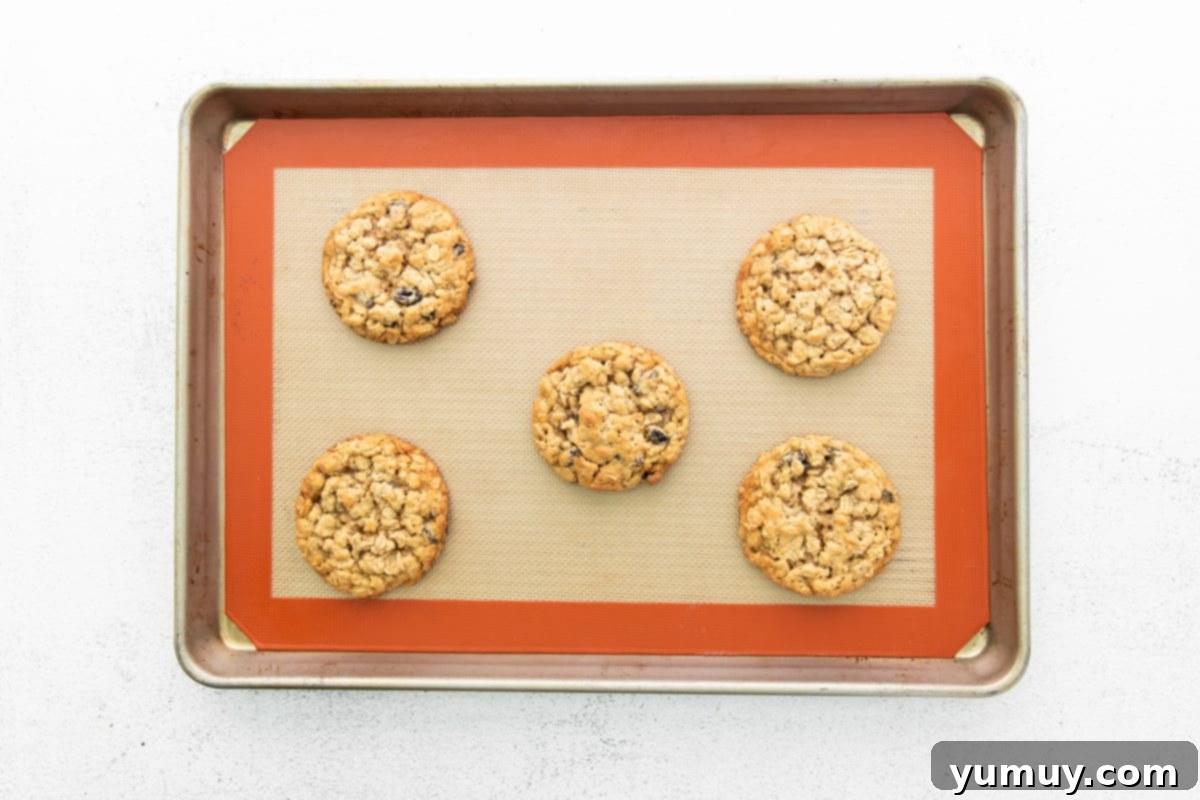 Golden Oat Raisin Delights 13 A tray of warm, golden-brown oatmeal raisin cookies fresh from the oven, cooling on a baking tray.